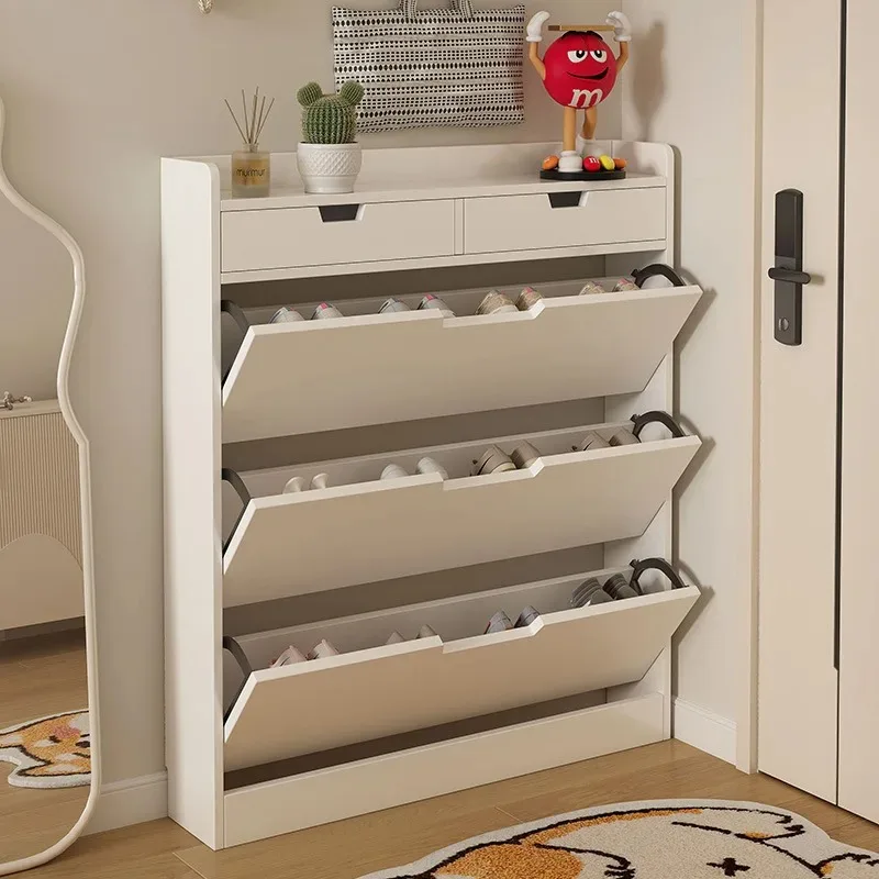 Zapatero vertical moderno de v - Men Shoes Rack reseña y precio
