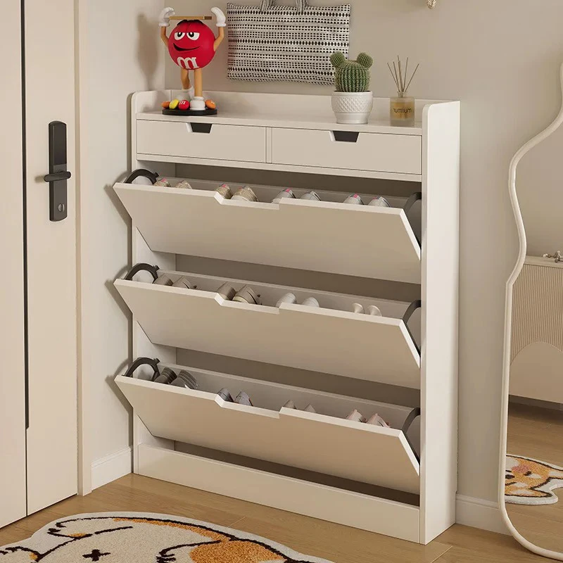 Zapatero vertical moderno de v - Men Shoes Rack reseña y precio